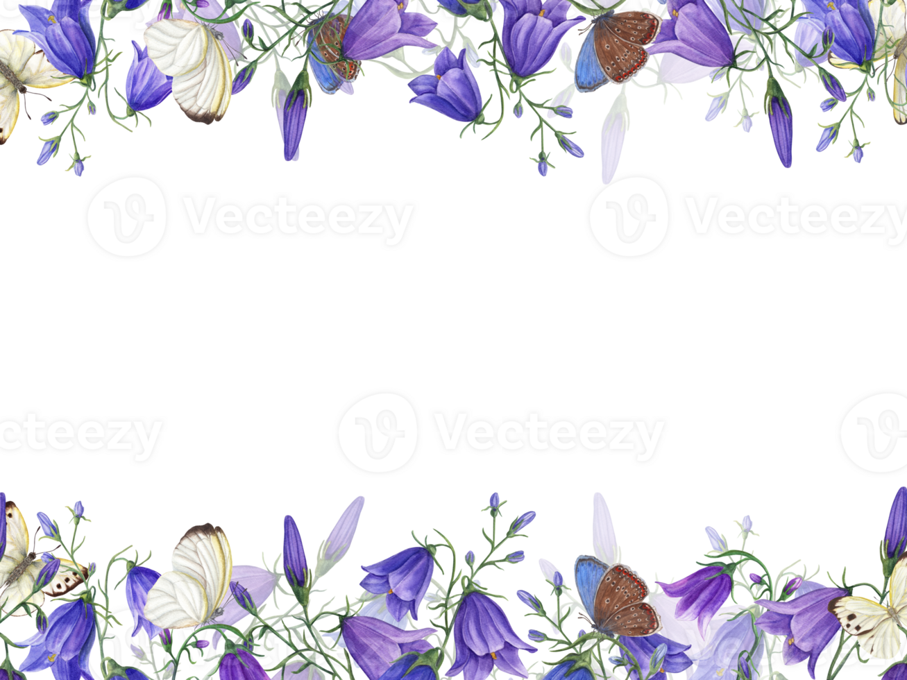 Horizontal frame of bell flowers and fluttering butterflies. Watercolor floral illustration of summer meadow wildflowers. Campanula, harebells, white and blue butterflies. Space for text png