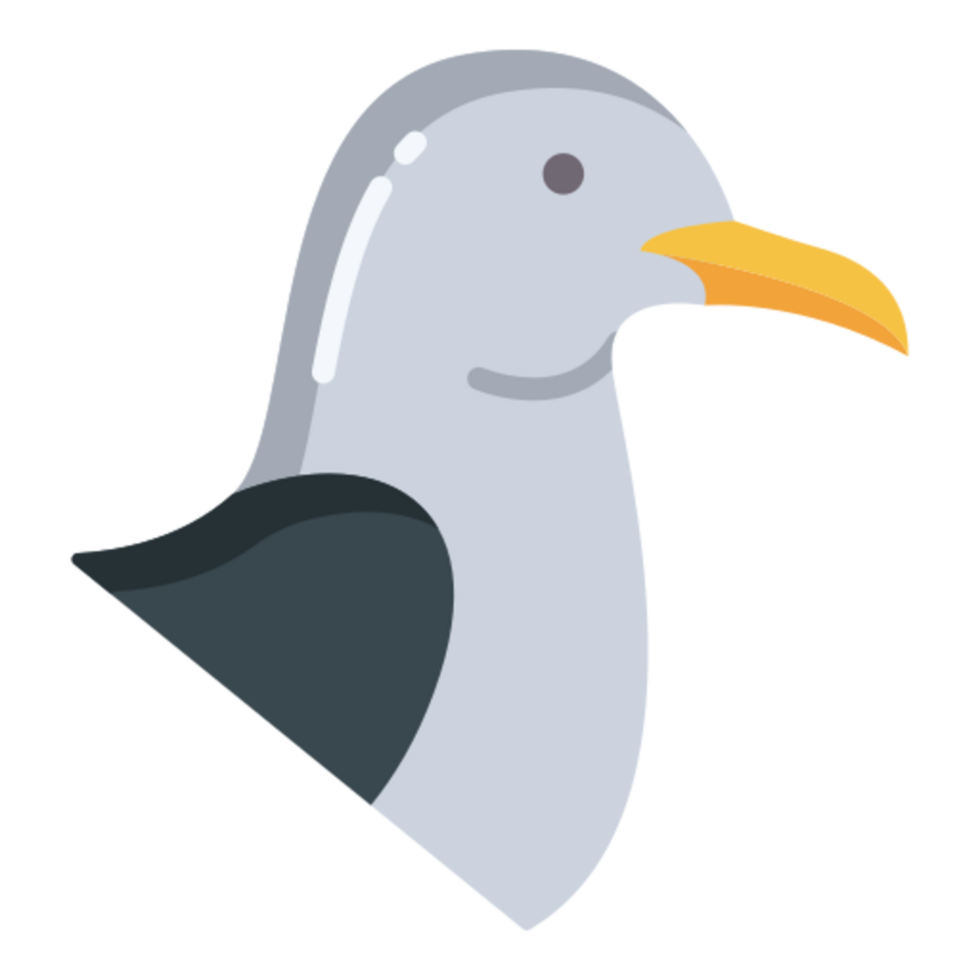 seagull icon design png
