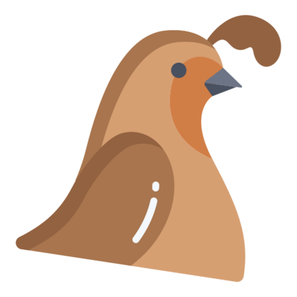 quail icon design png