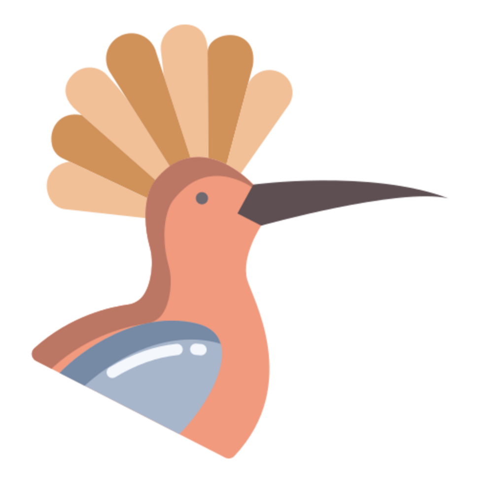 hoopoe icon design png
