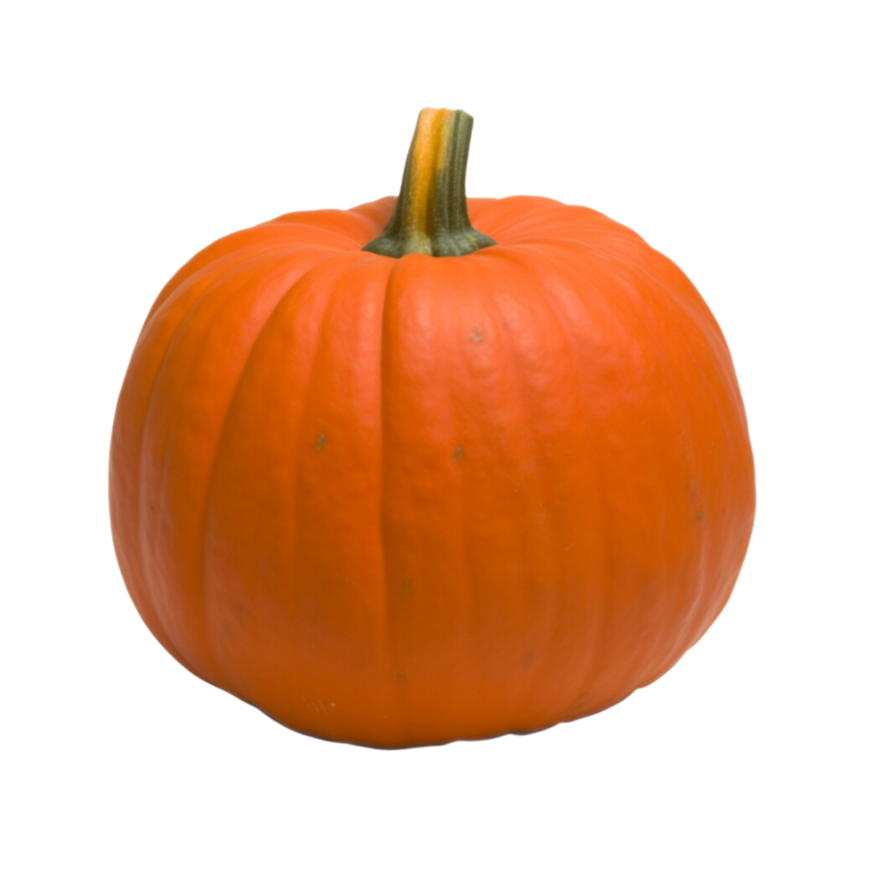 Pumpkin no background png