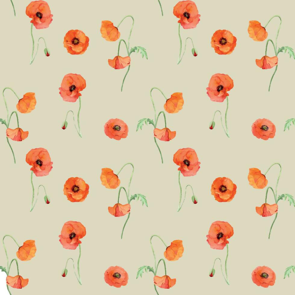 Watercolor seamless pattern with hand drawn summer bright red poppy flowers. Isolated on color background. Design for invitations, wedding, love or greeting cards, paper, print, textile vector