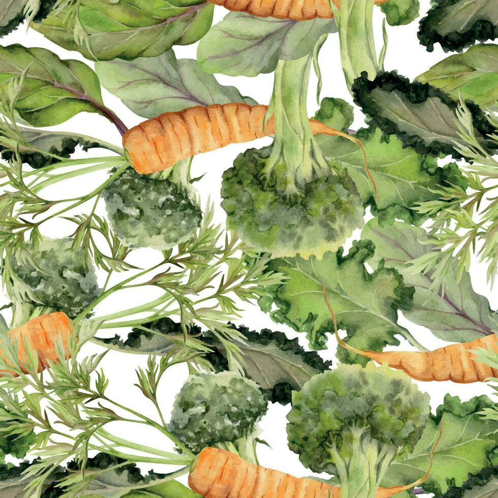 Hand drawn watercolor mix of green salad leaves and carrots diet healthy lifestyle, vegan cooking. Illustration seamless pattern isolated on white background. Design poster, print, website, card, menu vector