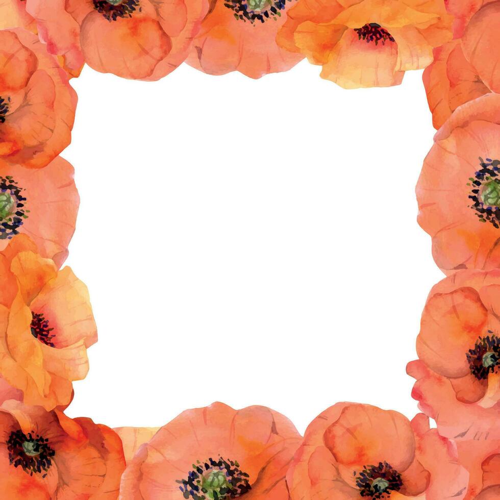 Watercolor square frame composition with hand drawn summer bright red poppy flowers. Isolated on white background. Design for invitations, wedding, love or greeting cards, paper, print, textile vector