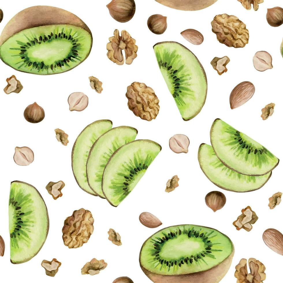 Hand drawn watercolor green kiwi fruit and nuts mix for diet and healthy lifestyle, vegan cooking. Illustration seamless pattern isolated on white background. Design print, poster, website, card, menu vector