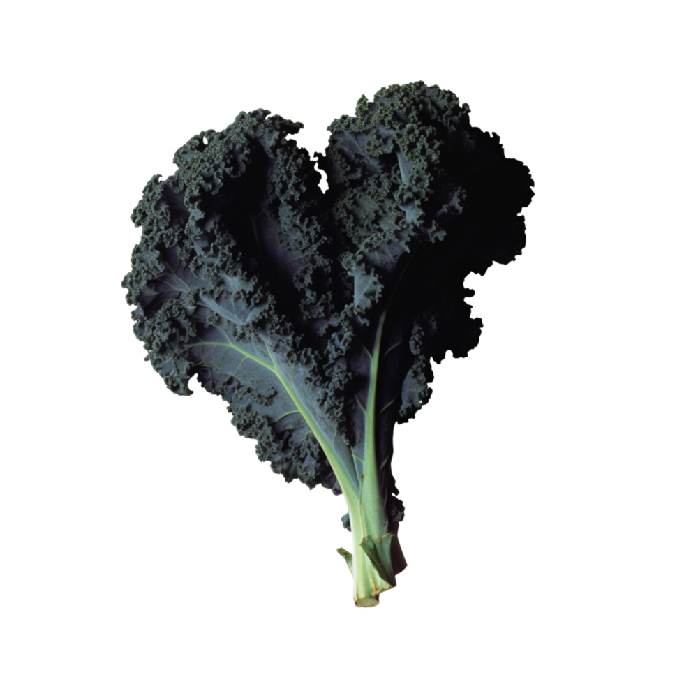 Kale no background png