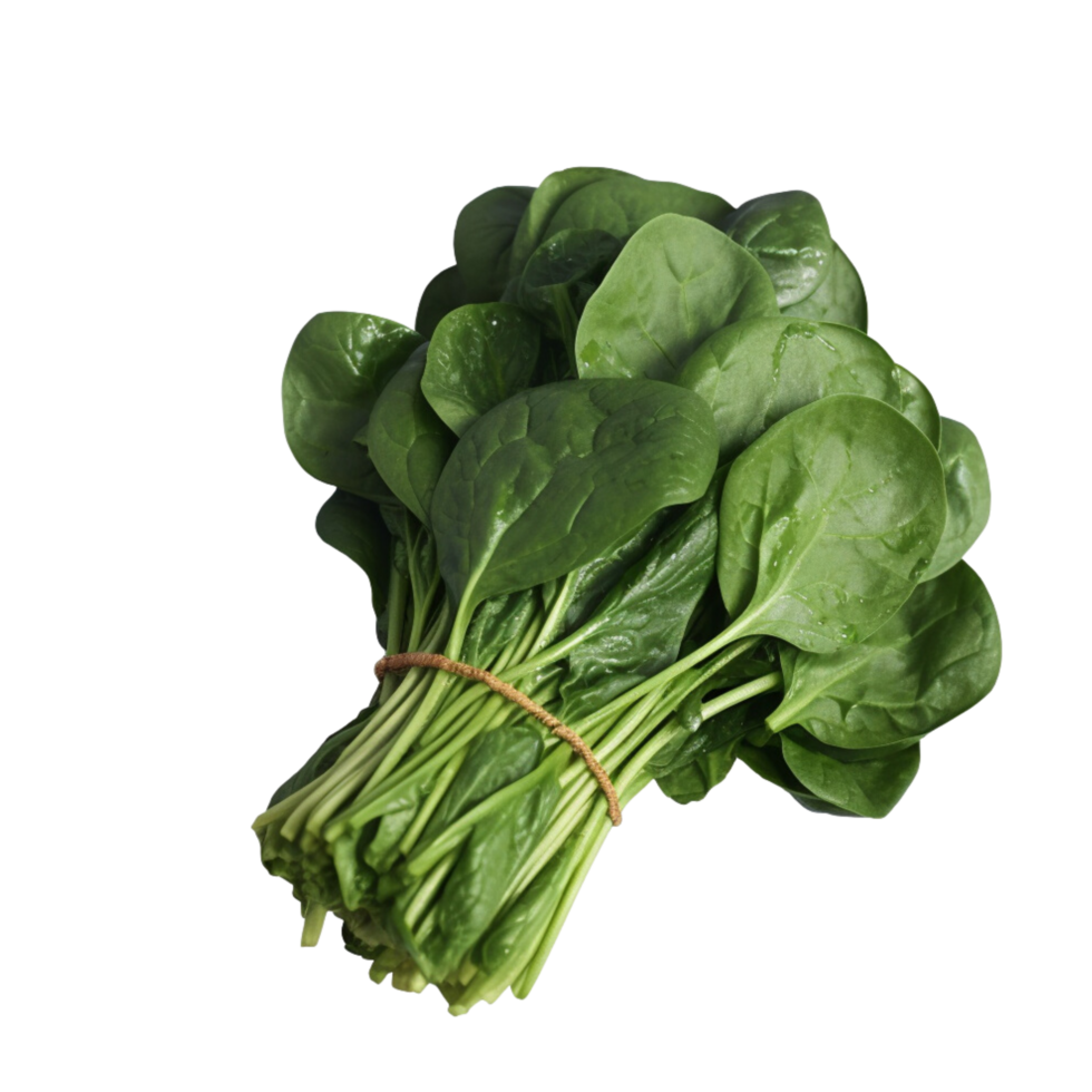 Cabbage no background png