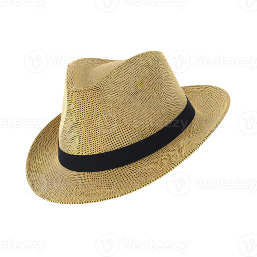 hat no background 31738603 PNG