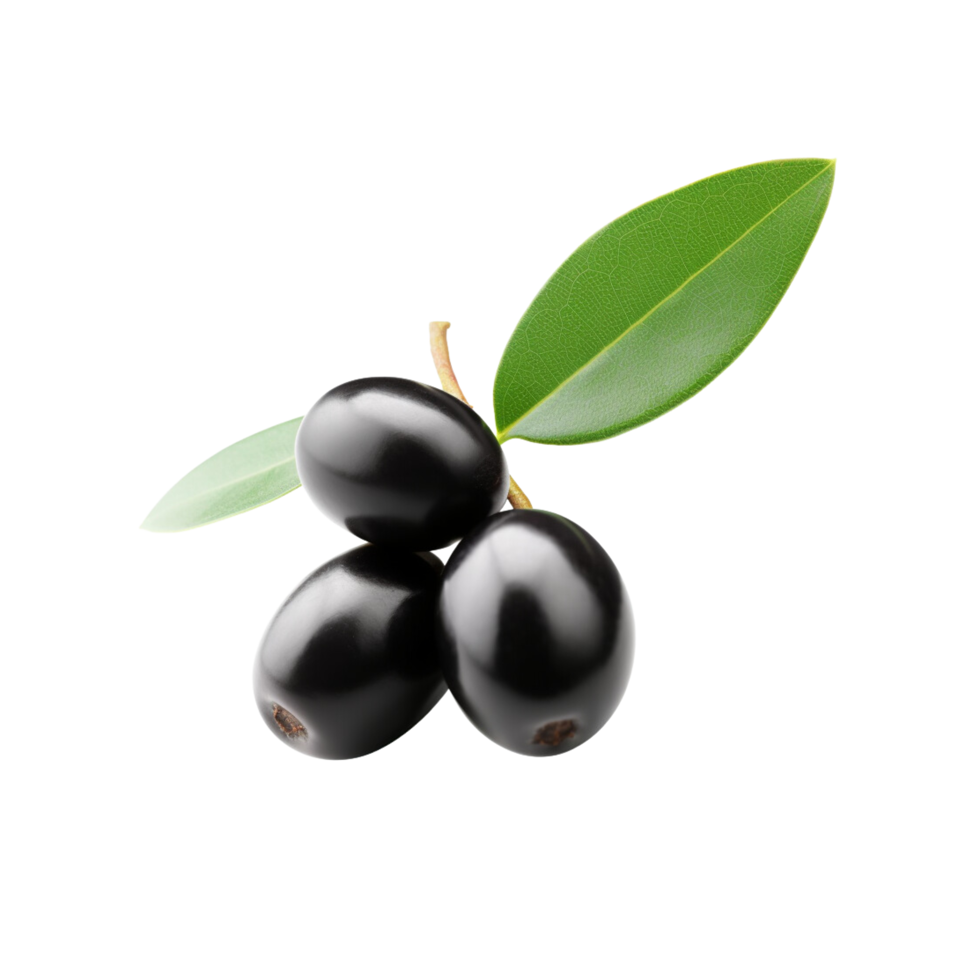 Black olive no background 31738621 PNG