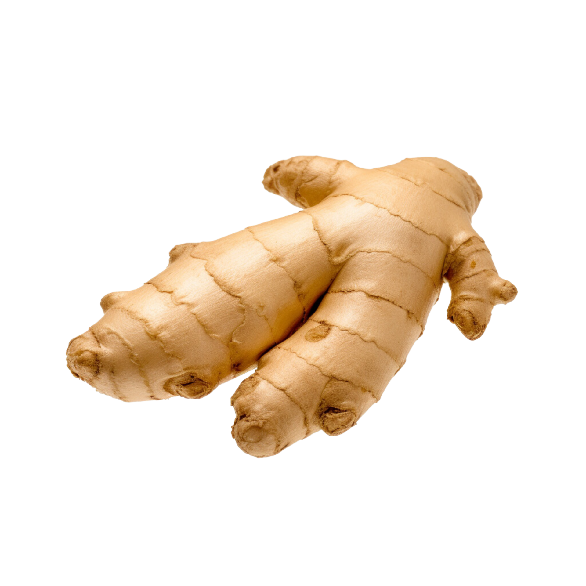 Root No Background 31738675 PNG solved-26-if-x-root-5-x-root-5-5-what-is-the-chegg
