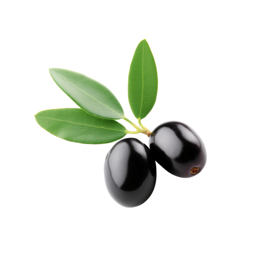 Black olive no background png