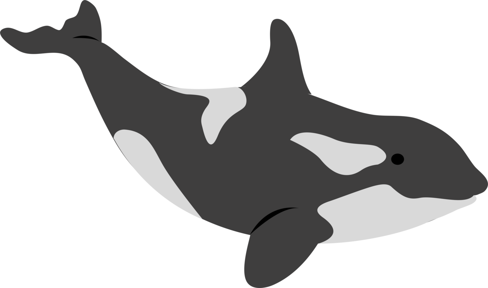 illustration of orcas png