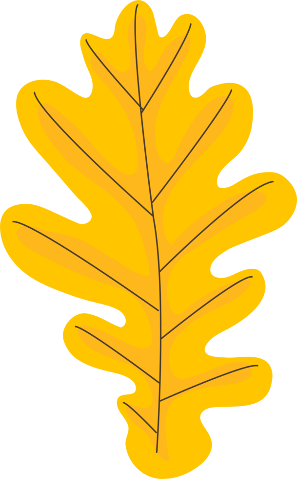 Autumn maple leaf png