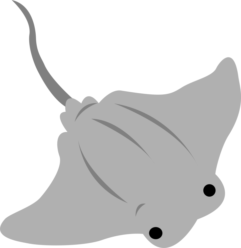 illustration of stringray png