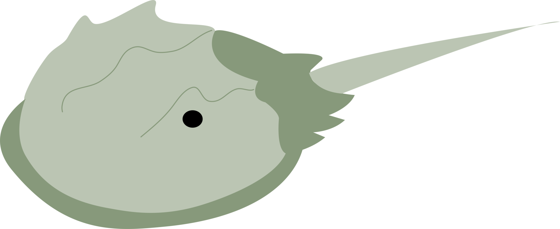 Japanese horseshoe crab png