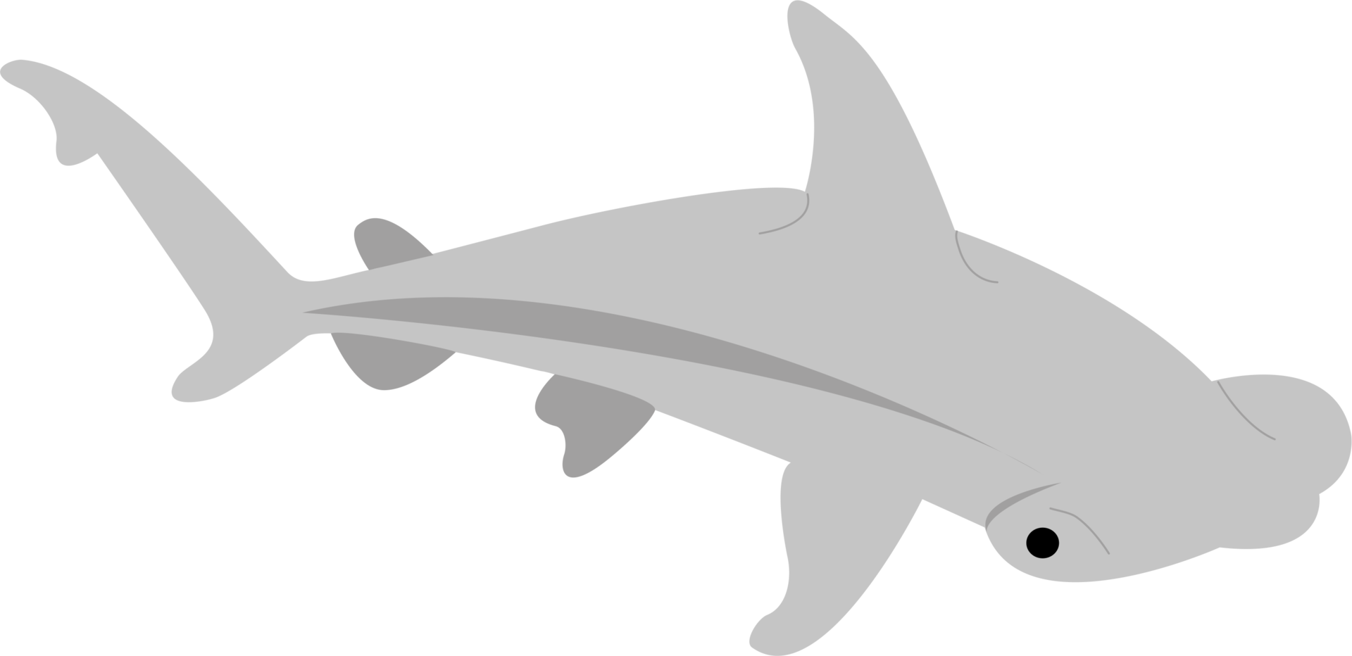 un tiburón martillo png