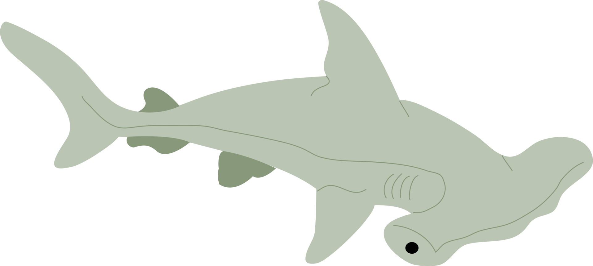 grand requin marteau png