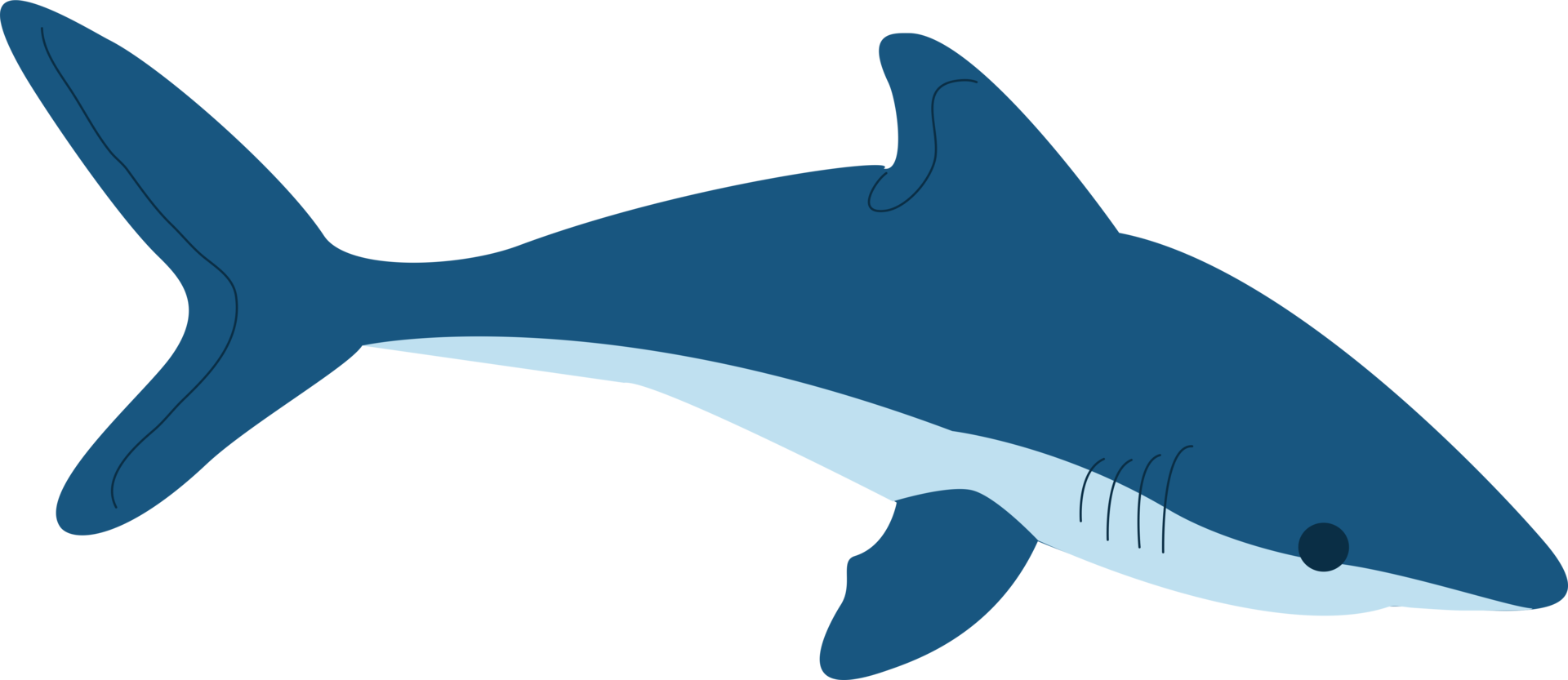 un' blu squalo png