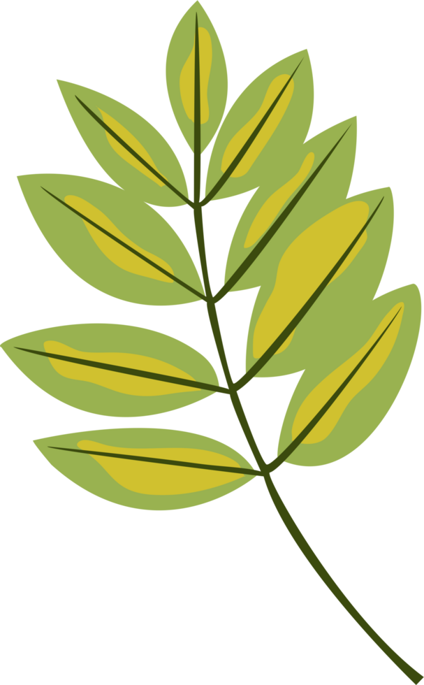 Autumn maple leaf png