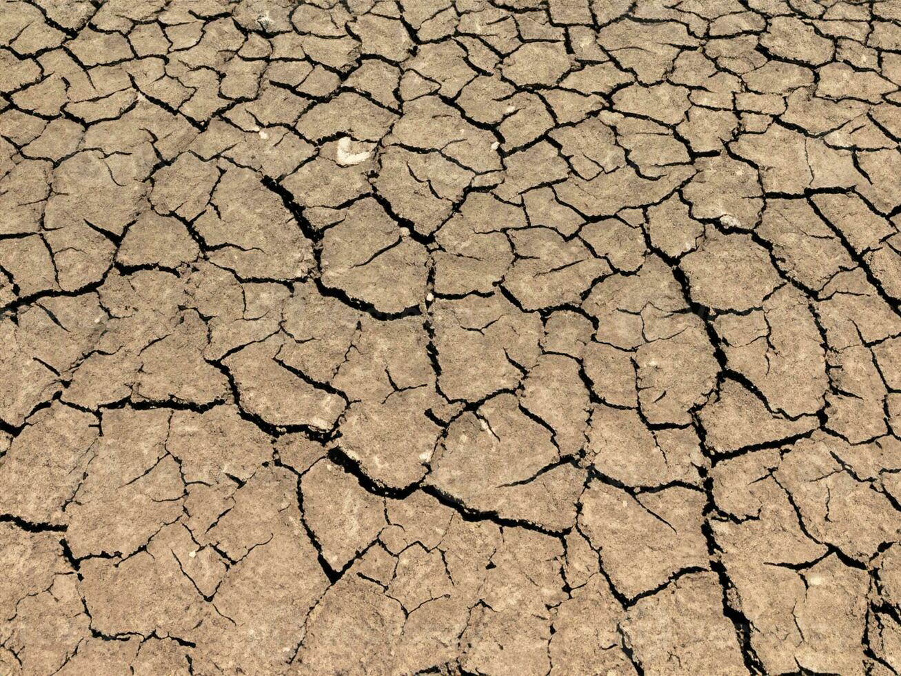 dry cracked earth texture. global warming photo