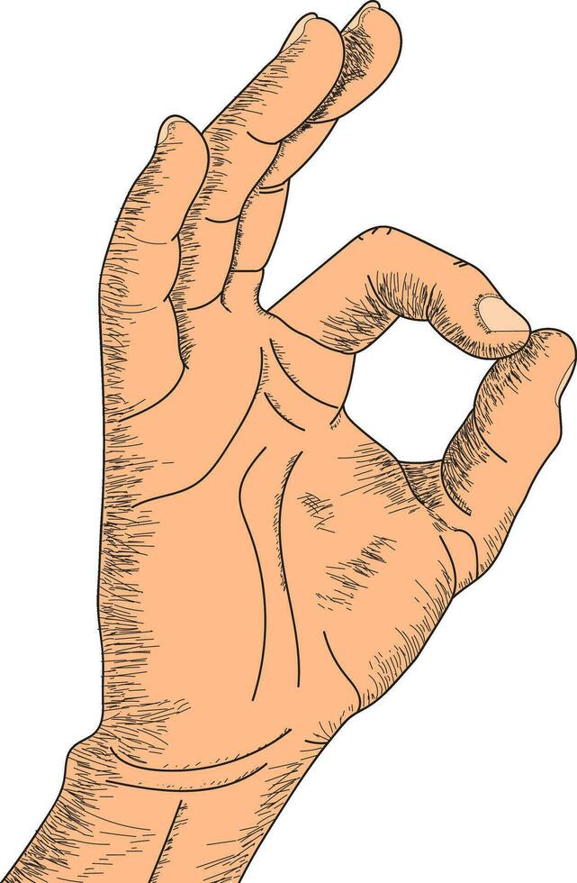 Okay, OK or ring hand gesture sign line art vector