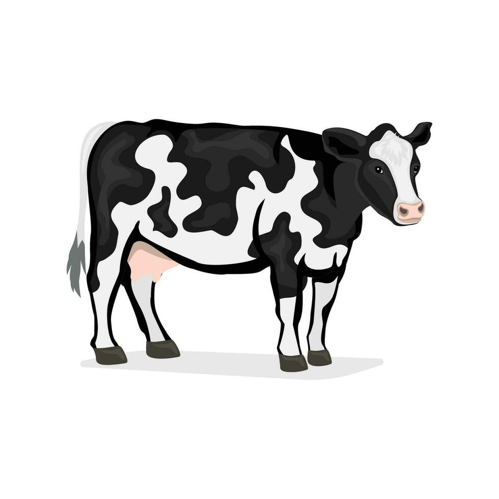 Cow Domestic Animal Mascot and Cartoon Digital Vector Design