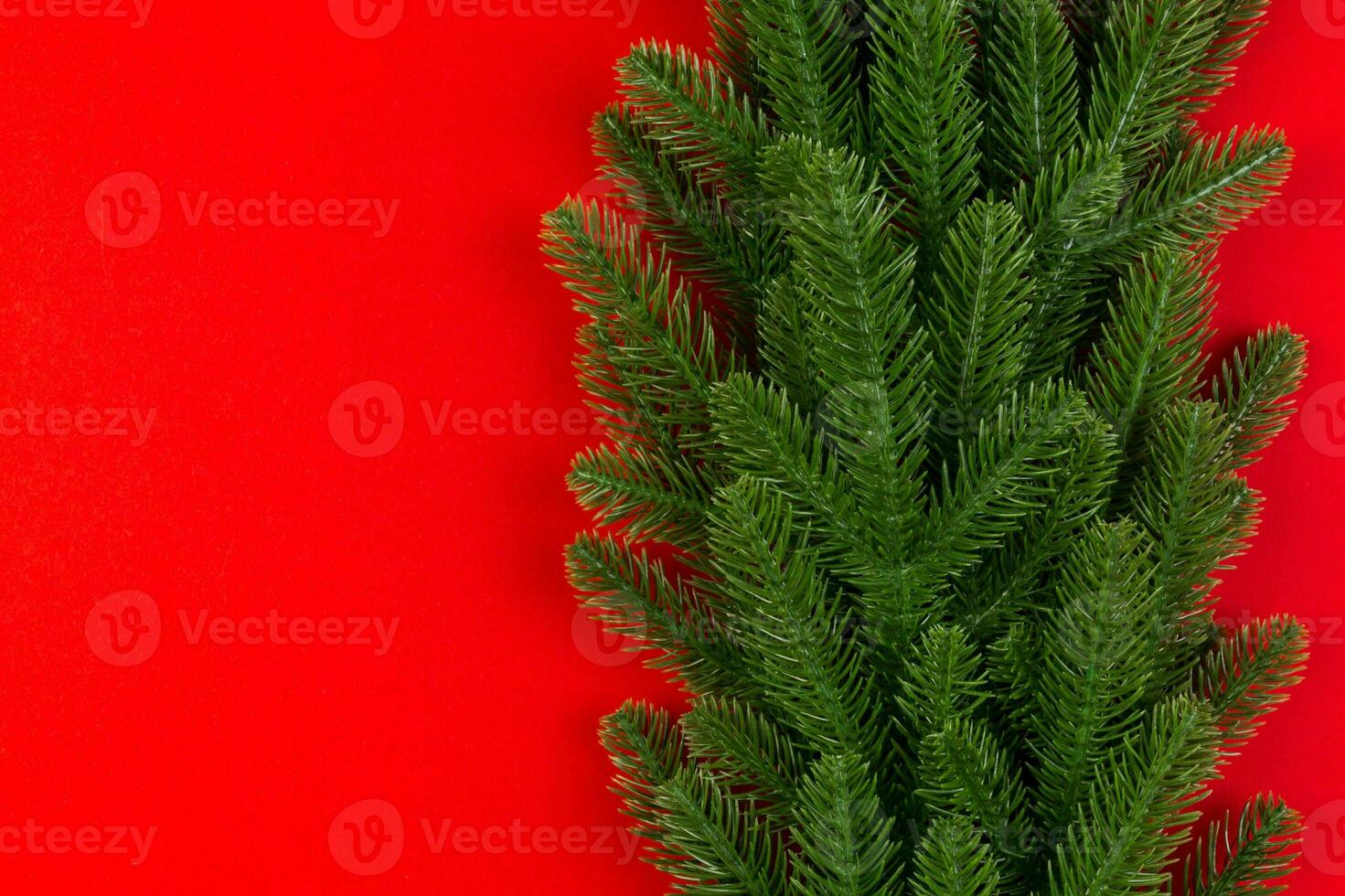 Top view of colorful background made of green fir tree branches. New year holiday concept with copy space photo