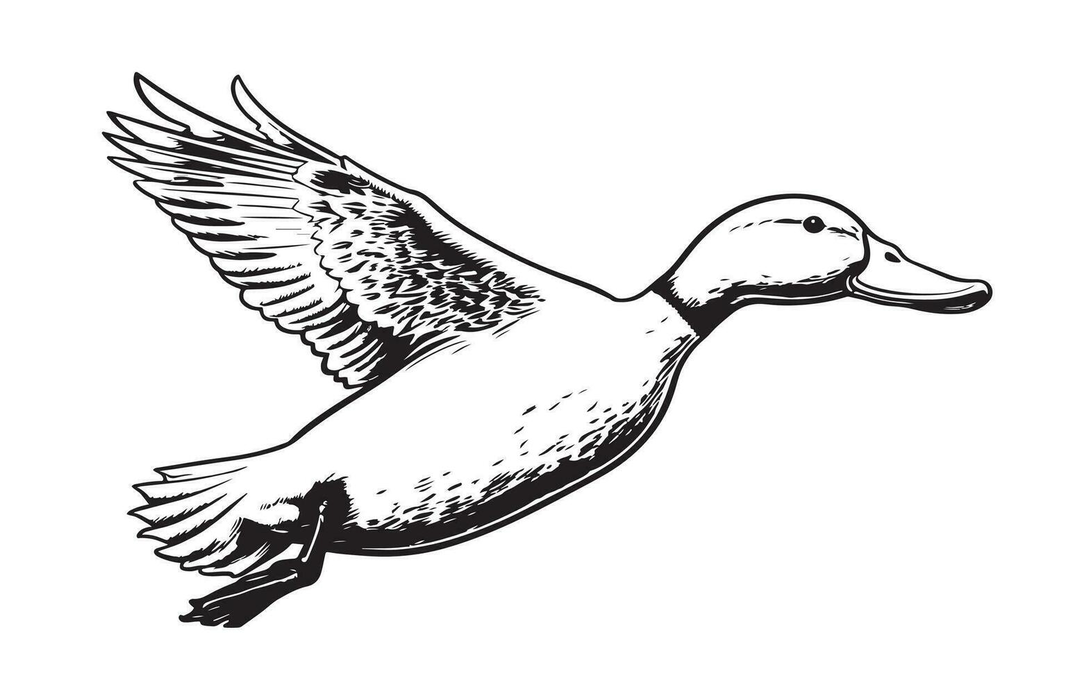 Duck flying sketch hand drawn Vector illustration Birds hunting