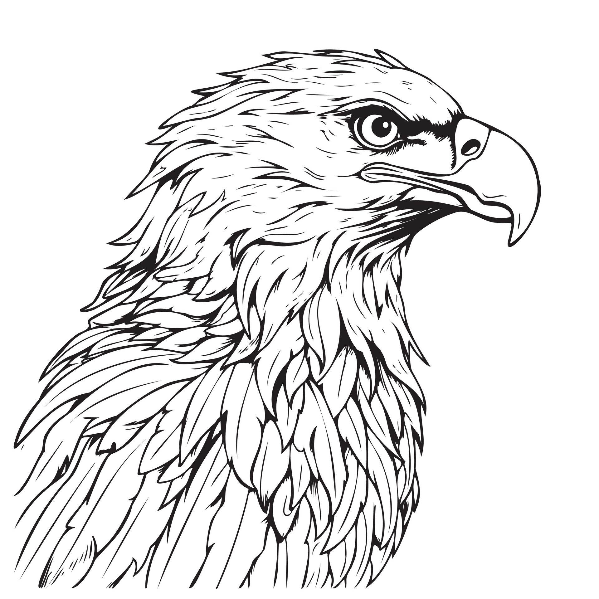 Eagle face sketch hand drawn Vector illustration Birds hunting 31739698  Vector Art at Vecteezy
