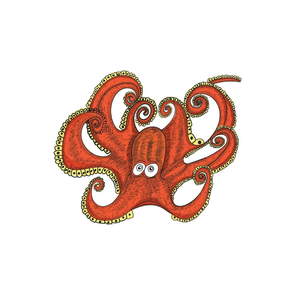 Octopus Vector Illustration Design