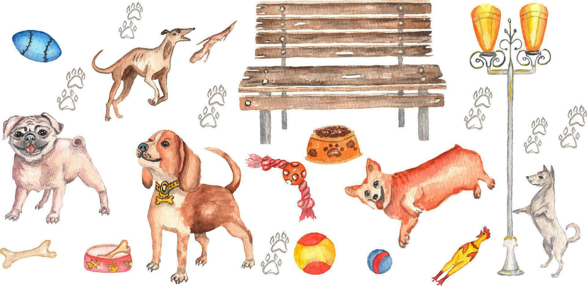 Collection of 17 elements. Dogs of different breeds and their favorite toys are drawn. Suitable for dog walking designs, patterns and other collections vector