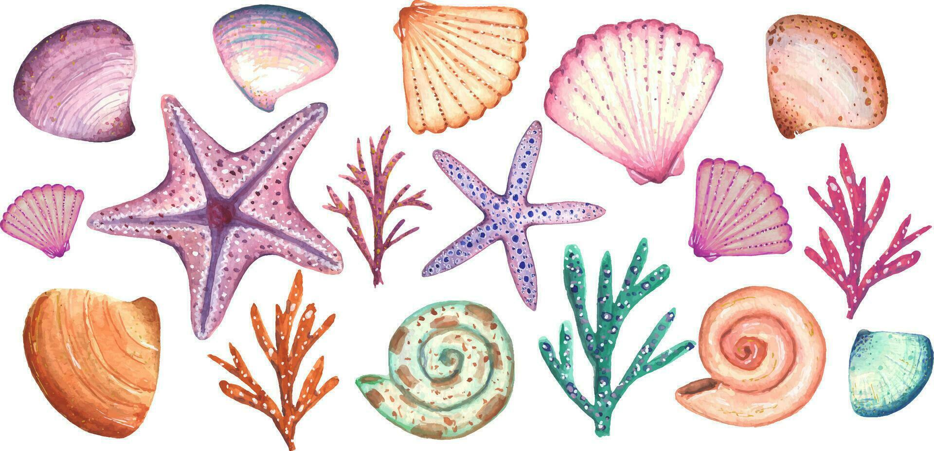 Collection of sea shells. 17 elements. Suitable for the holiday of the sea and for creating designs, patterns. vector