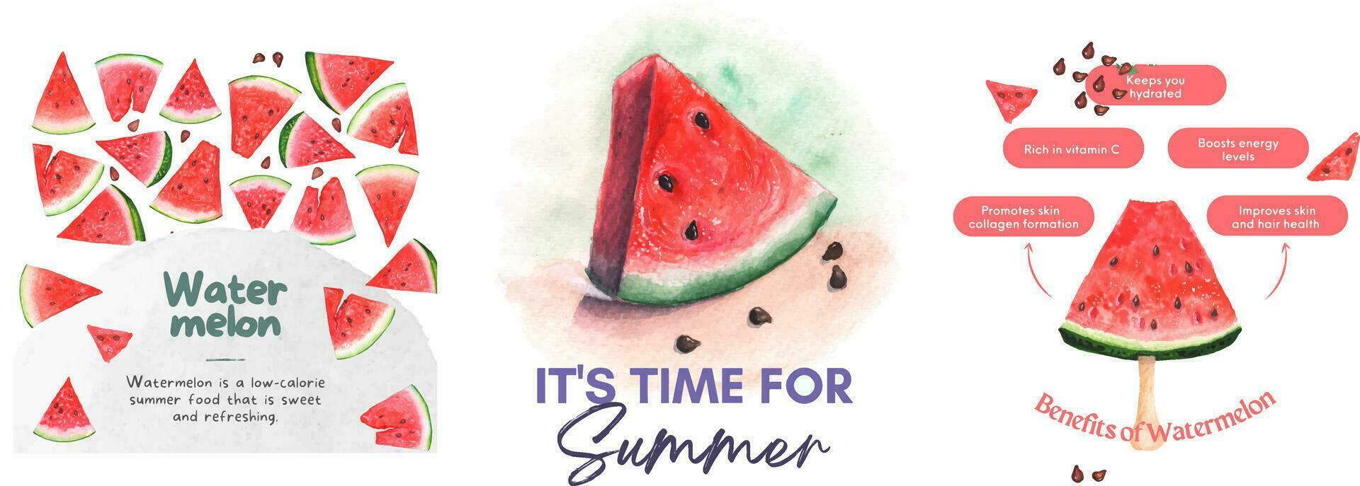 Set of 3 illustrations with watermelon. Low calorie summer food, sweet, refreshing. The benefits of watermelon vector