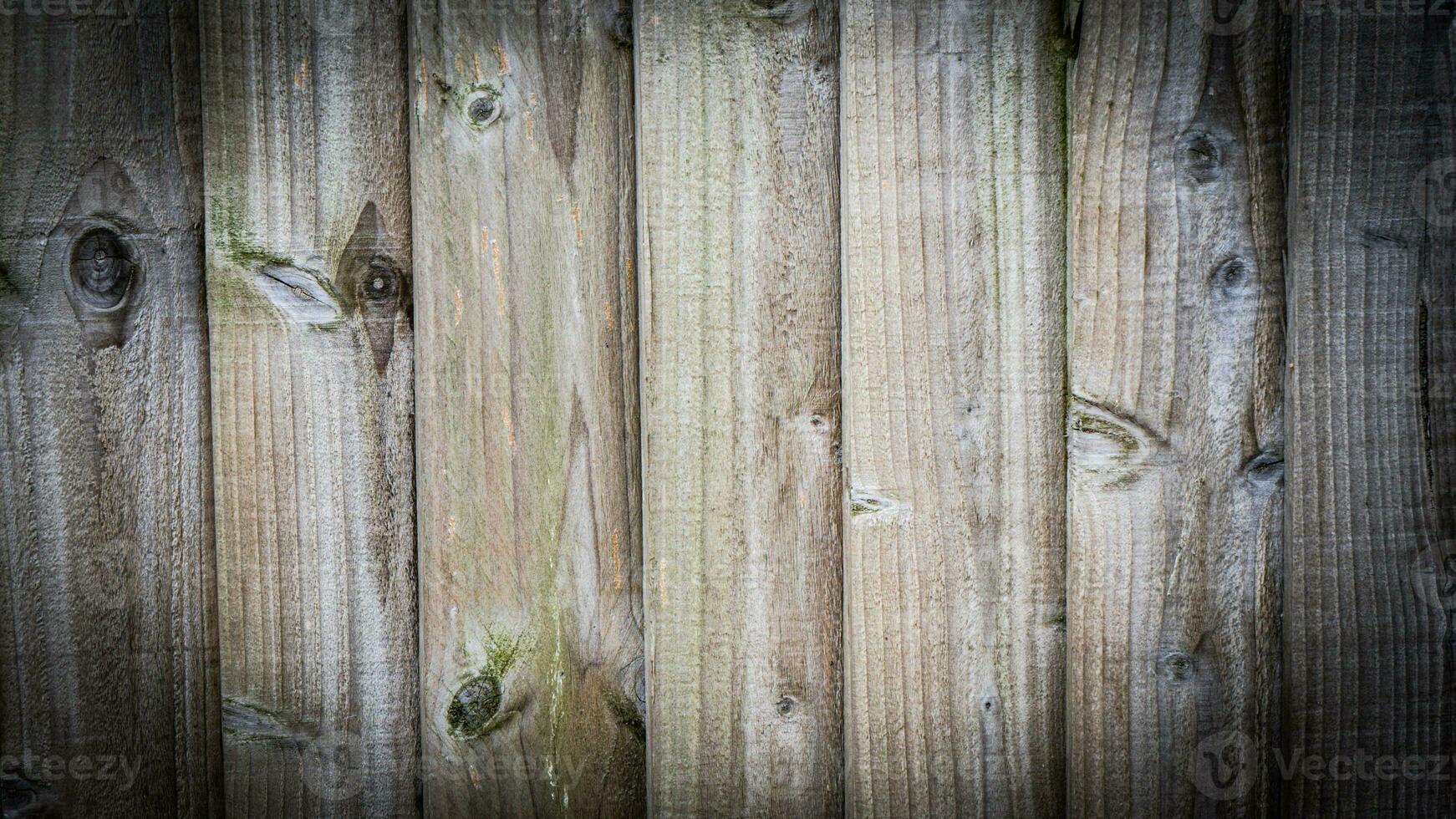 natural madera grano textura antecedentes foto