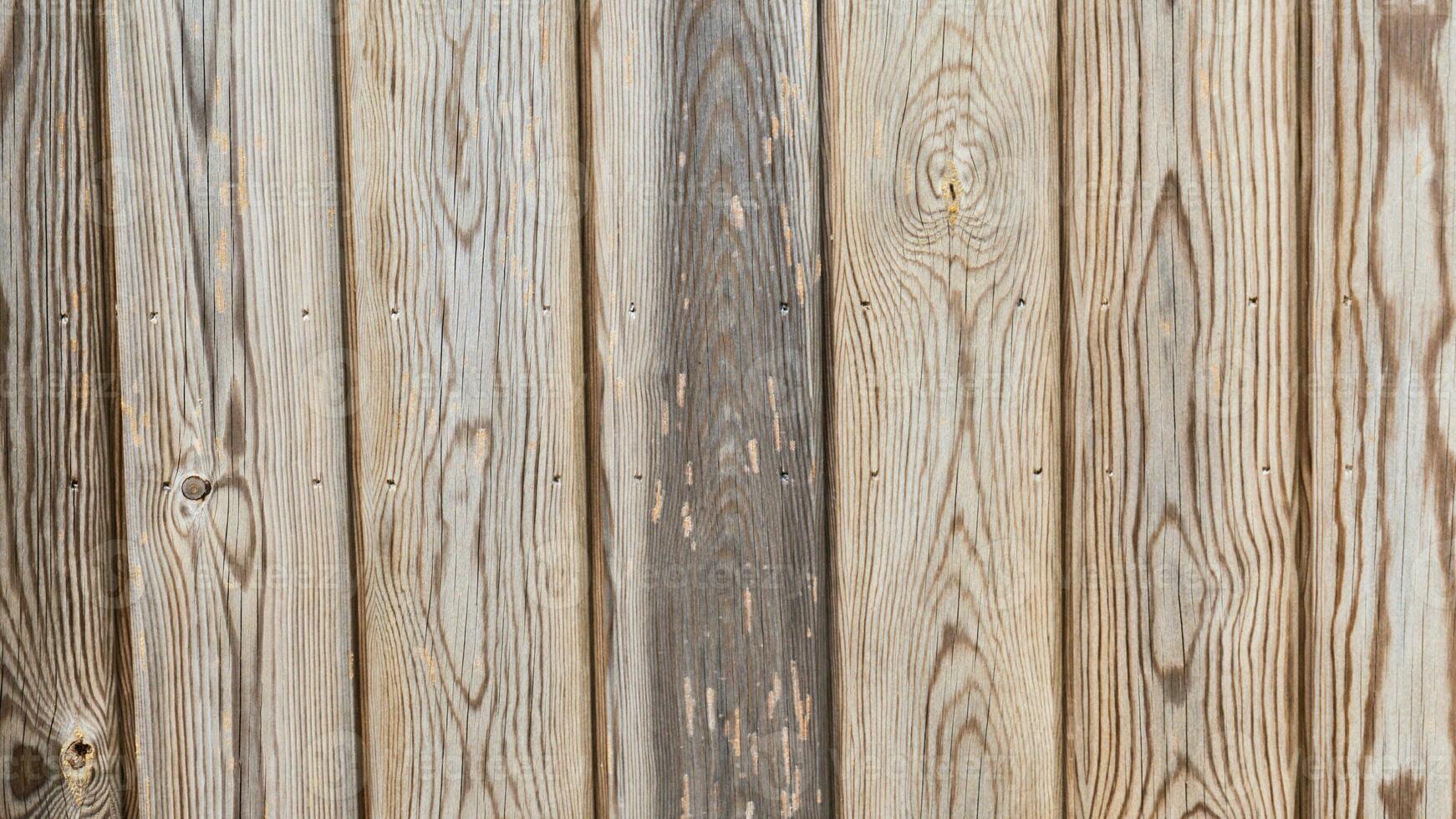 Natural Wood Grain Texture Background photo