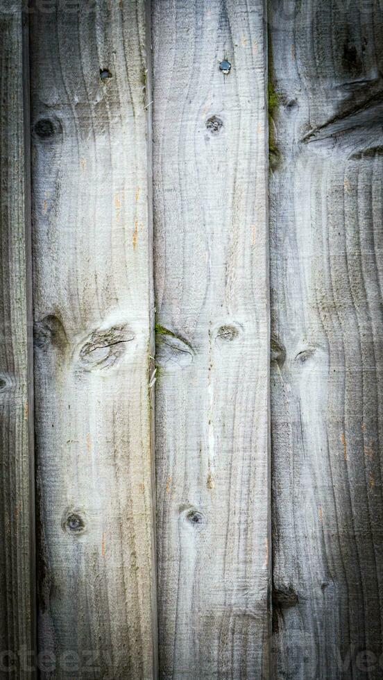 Natural Wood Grain Texture Background photo