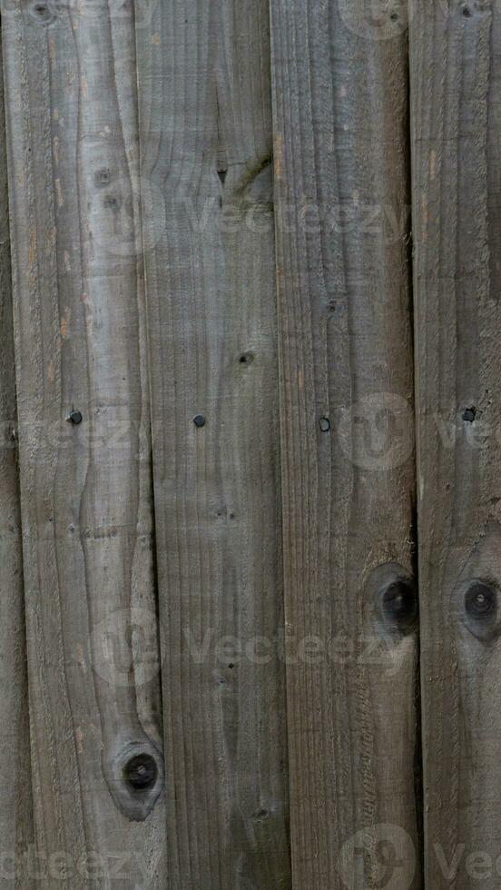 Natural Wood Grain Texture Background photo