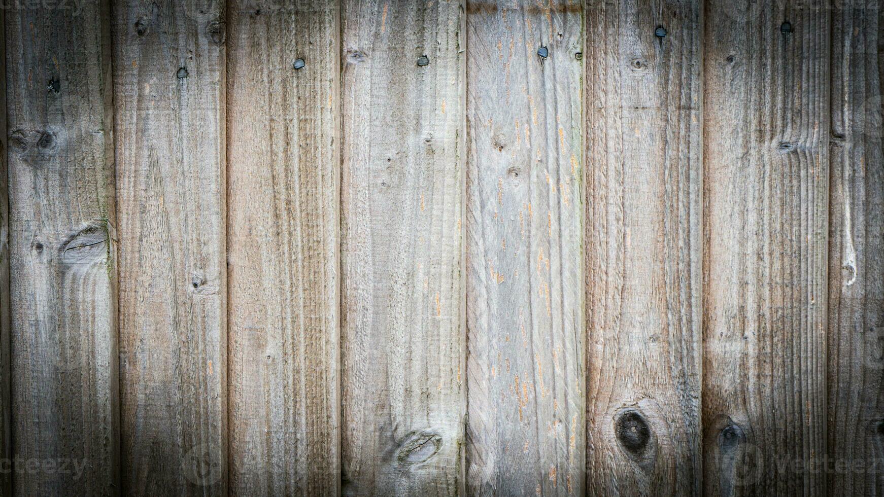 Natural Wood Grain Texture Background photo