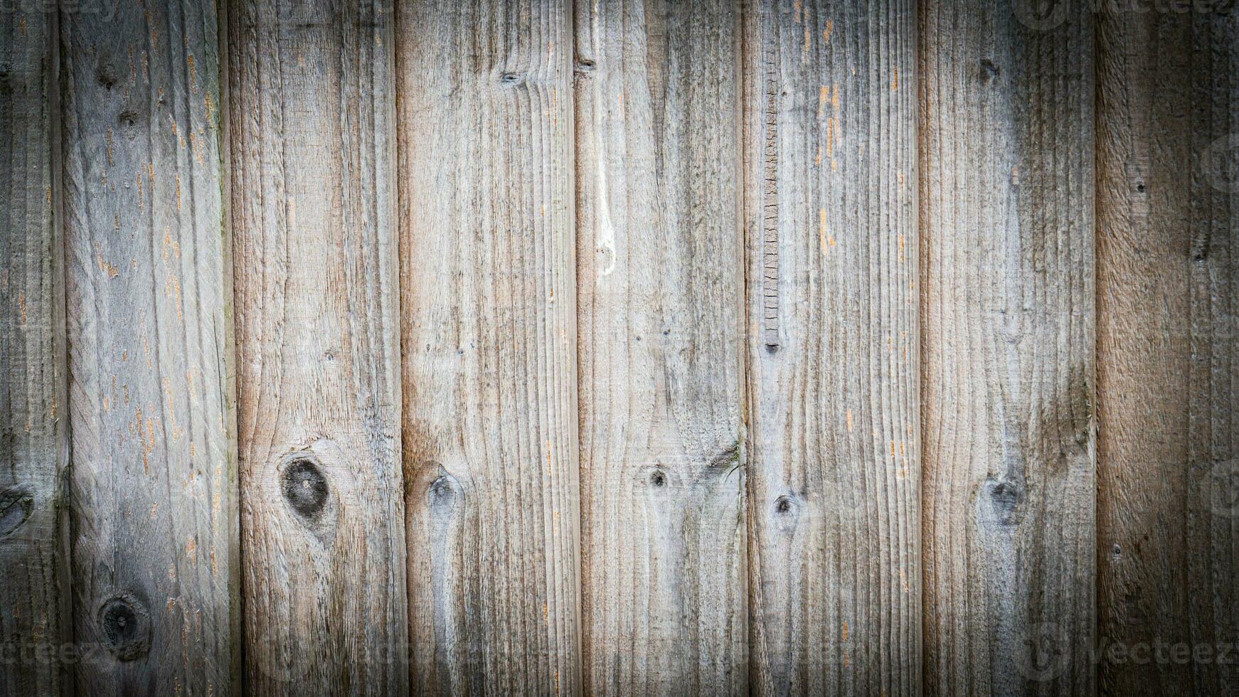 Natural Wood Grain Texture Background photo