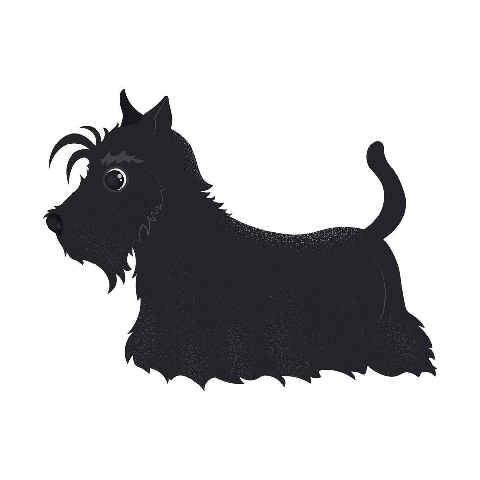 illustration with cute cartoon Scottish terrier in flat style. isolated vector art with dog on white background. Black puppy for print, postcard. Animal character.