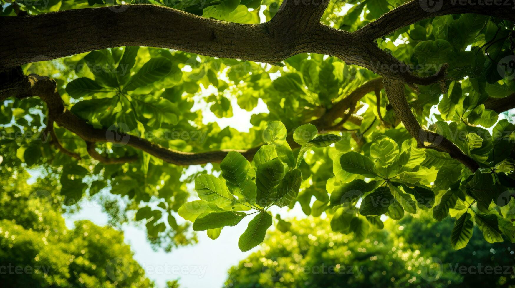 Sunlight Through the Leaves AI Generated photo