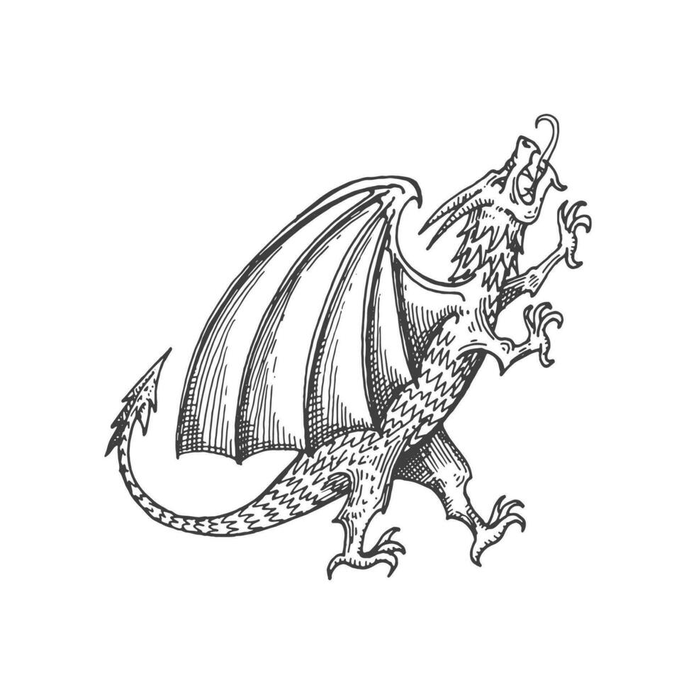 Dragon medieval heraldic animal monster sketch vector