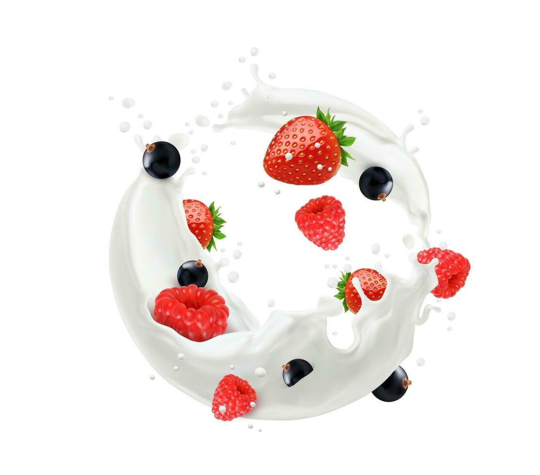 Realistic milk drink swirl splash with berries vector