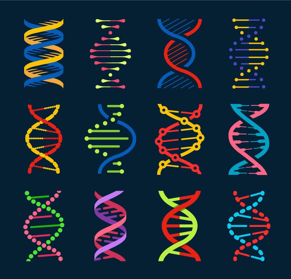 adn hélices y gene moléculas. genética Ciencias vector