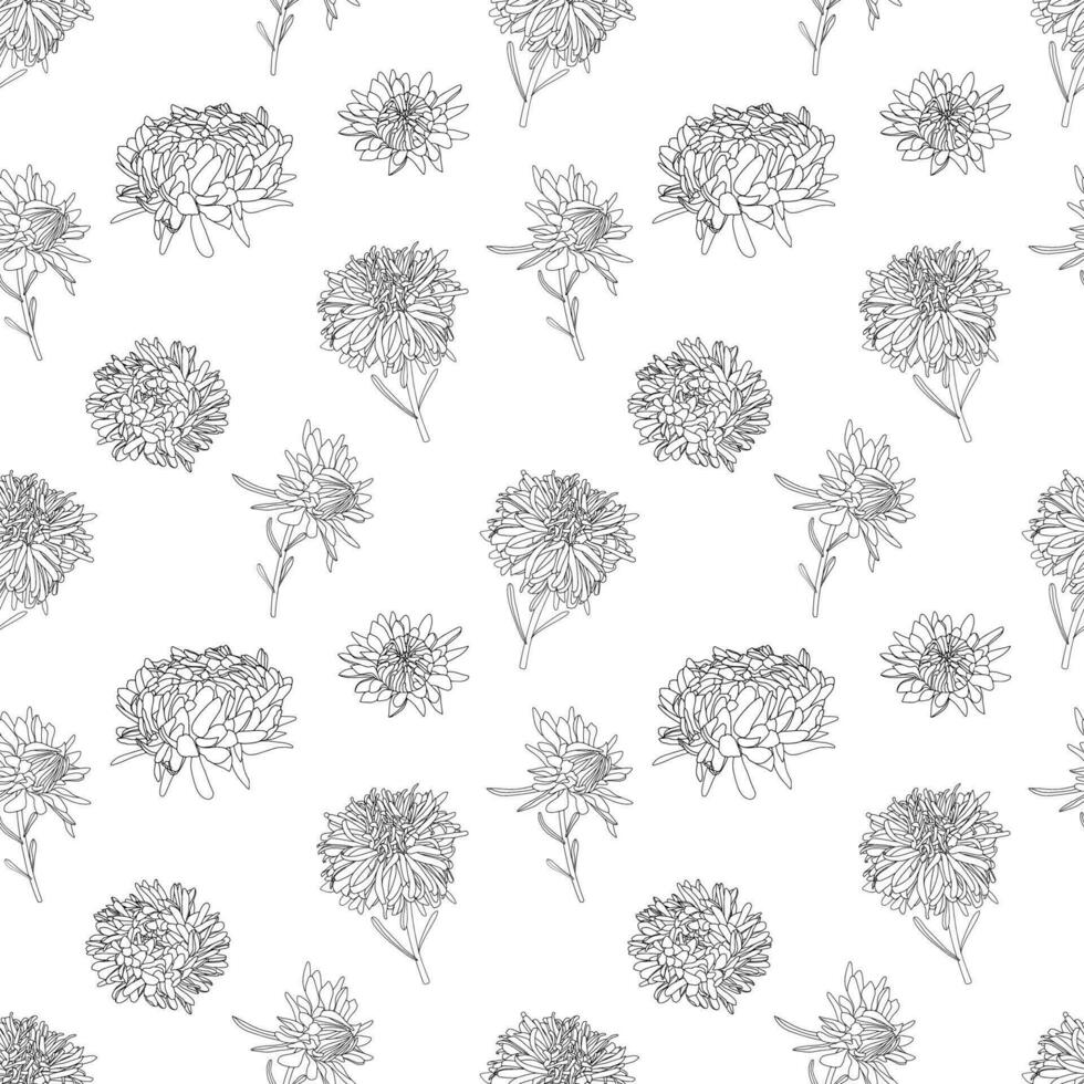 Vector botanical hand drawn monochrome line art pattern of asters flowers, daisies in graphics