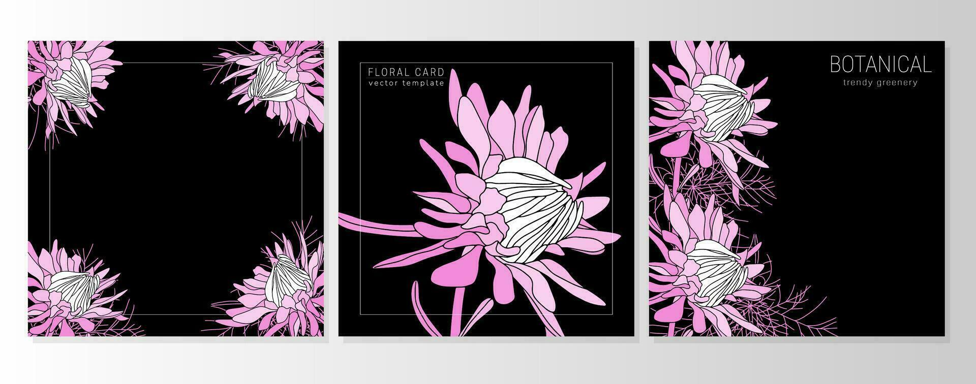 Set of greeting floral cards, botanical backgrounds, covers with fall pink asters, daisies vector