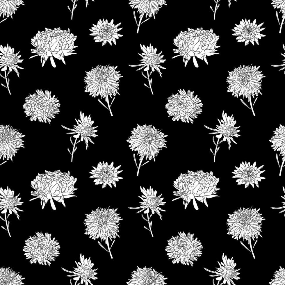Vector botanical hand drawn monochrome line art pattern of asters flowers, daisies in graphics