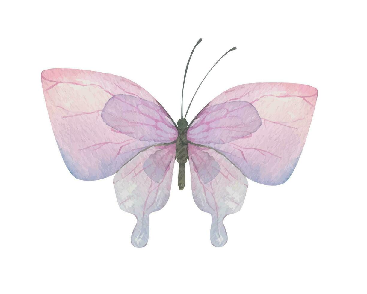 Purple butterfly. Handdrawn watercolor illustration. Isolated object on a white background for decoration and design vector