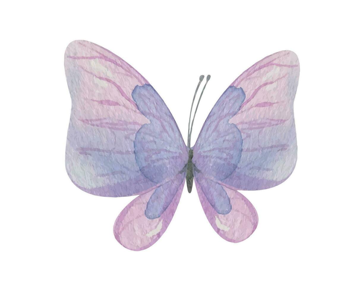 púrpura mariposa. dibujado a mano acuarela ilustración. aislado objeto en un blanco antecedentes para decoración y diseño vector