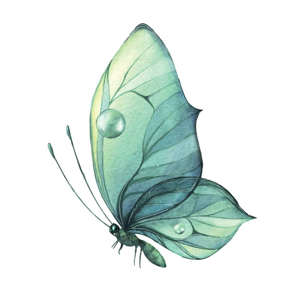 turquesa mariposa con agua gotas y un modelo. acuarela ilustración. aislado objeto. para decoración, diseño y composiciones, huellas dactilares, carteles, postales, pegatinas, recuerdos, tatuajes vector